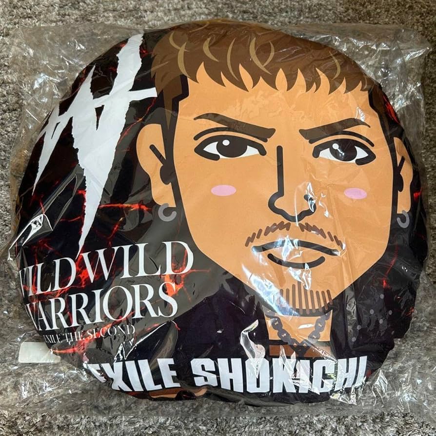 SHOKICHI クッション